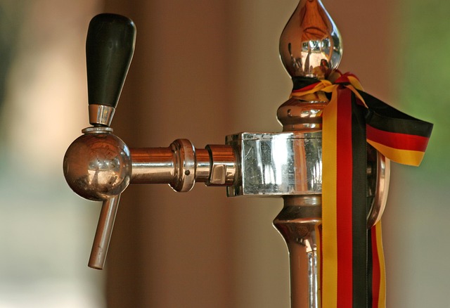 Die Welt der deutschen Biere